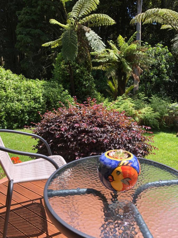 N.Z Country Home Whangarei Bagian luar foto
