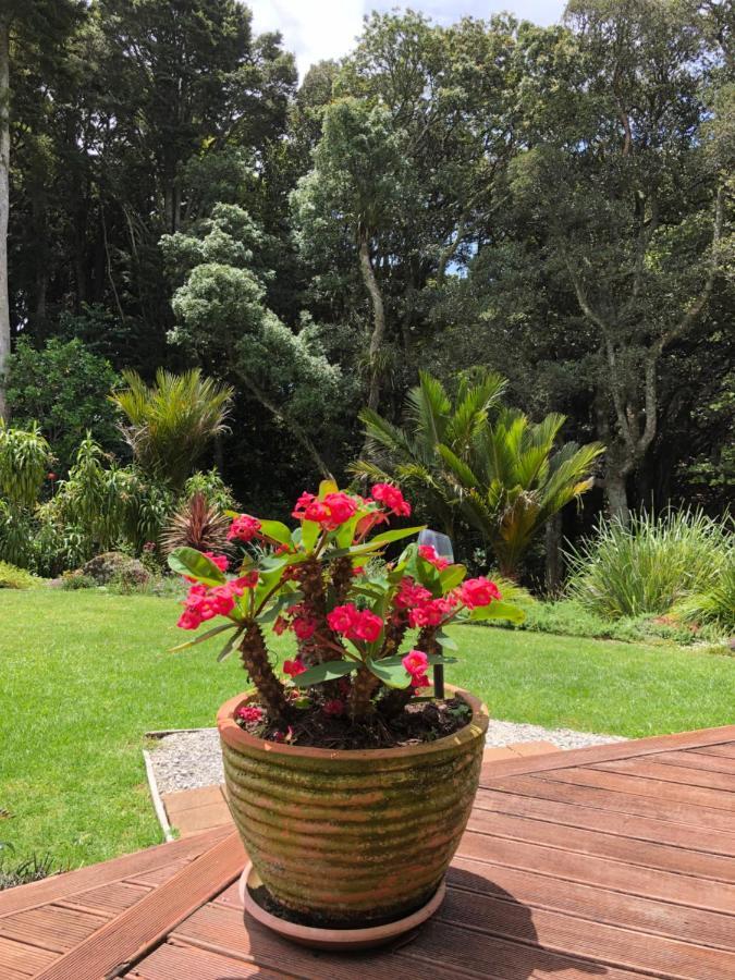 N.Z Country Home Whangarei Bagian luar foto