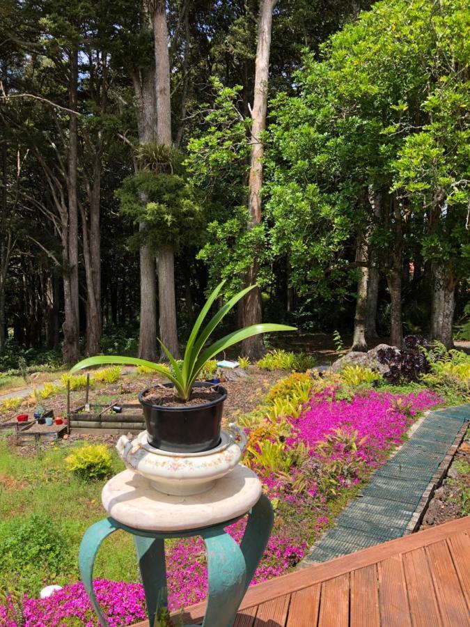 N.Z Country Home Whangarei Bagian luar foto